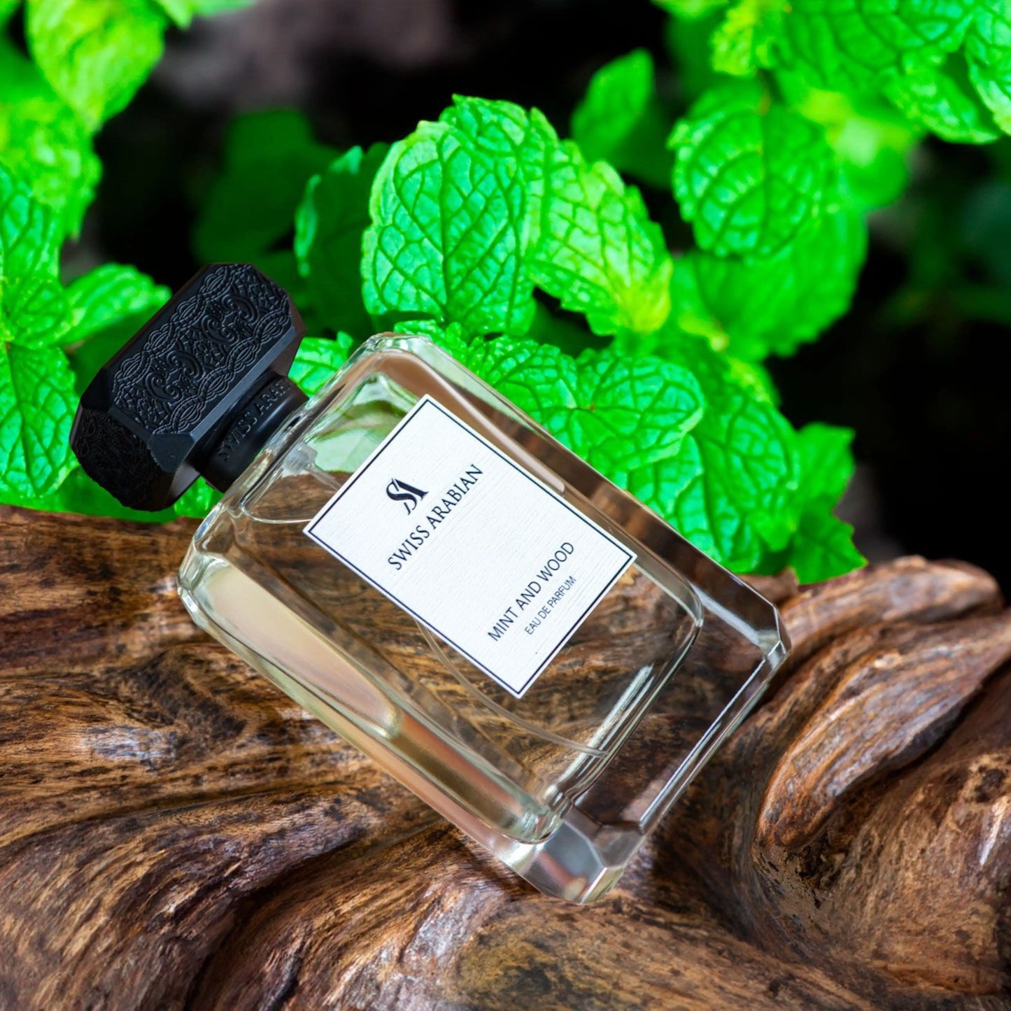 Mint and Wood Swiss Arabian
