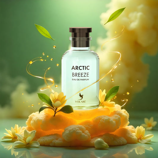 Arctic Breeze Volare Eau de Parfum 100ml